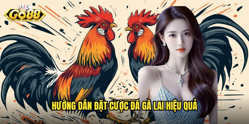 Đá Gà Lai Go88 - Trải Nghiệm Trận Đấu Gà lai Kịch Tính Nhất 3 Hướng dẫn đặt cược đá gà lai hiệu quả