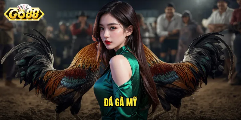 Đá Gà Mỹ Go88 - Đẳng Cấp Trận Đấu Quốc Tế Ngay Tại Việt Nam 1 đá gà Mỹ