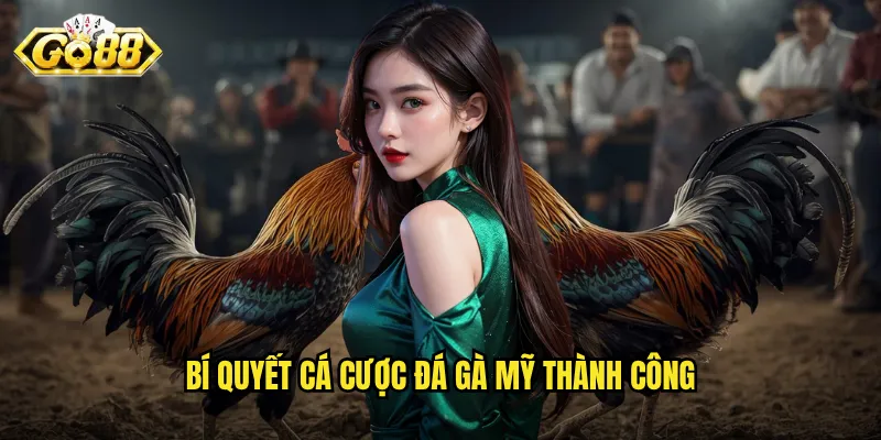 Đá Gà Mỹ Go88 - Đẳng Cấp Trận Đấu Quốc Tế Ngay Tại Việt Nam 3 Bí quyết cá cược đá gà Mỹ thành công