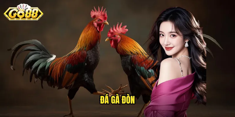 Đá gà Đòn Go88 - Nghệ Thuật Chiến Đấu Với Những Đòn Quyết Định 1 Đá gà đòn