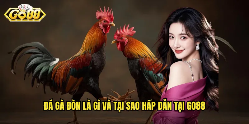 Đá gà Đòn Go88 - Nghệ Thuật Chiến Đấu Với Những Đòn Quyết Định 2 Đá gà đòn là gì và tại sao hấp dẫn tại Go88
