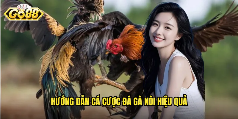 Đá Gà Nòi Go88 - Trận Đấu Của Những Dòng Gà Thuần Chủng 3 Hướng dẫn cá cược đá gà nòi hiệu quả