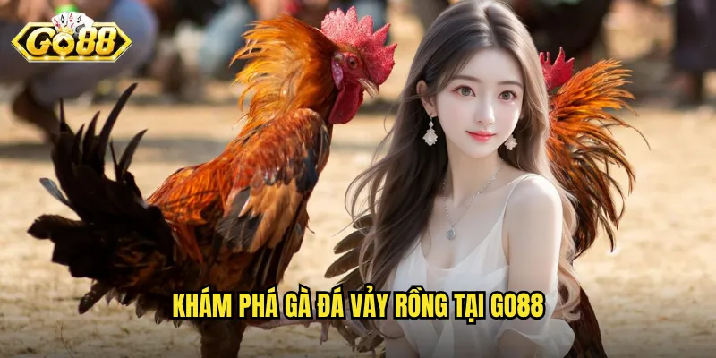Gà Đá Vảy Rồng Go88 - Dòng Gà Quý Hiếm Với Sức Mạnh Phi Thường 2 Khám phá gà đá vảy rồng tại Go88