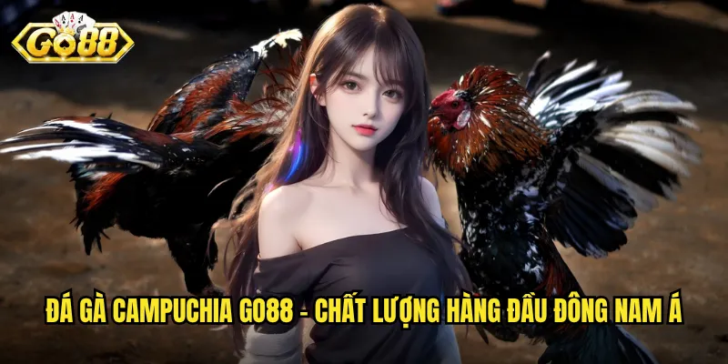 Đá Gà Campuchia Go88 - Trải Nghiệm Sòng Bạc Quốc Tế Đỉnh Cao 2 Đá gà Campuchia Go88 - Chất lượng hàng đầu Đông Nam Á