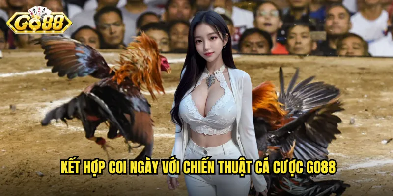 Coi Ngày Đá Gà Go88 - Chọn Ngày Tốt Để Chiến Thắng Thuận Lợi 3 Kết hợp coi ngày với chiến thuật cá cược Go88